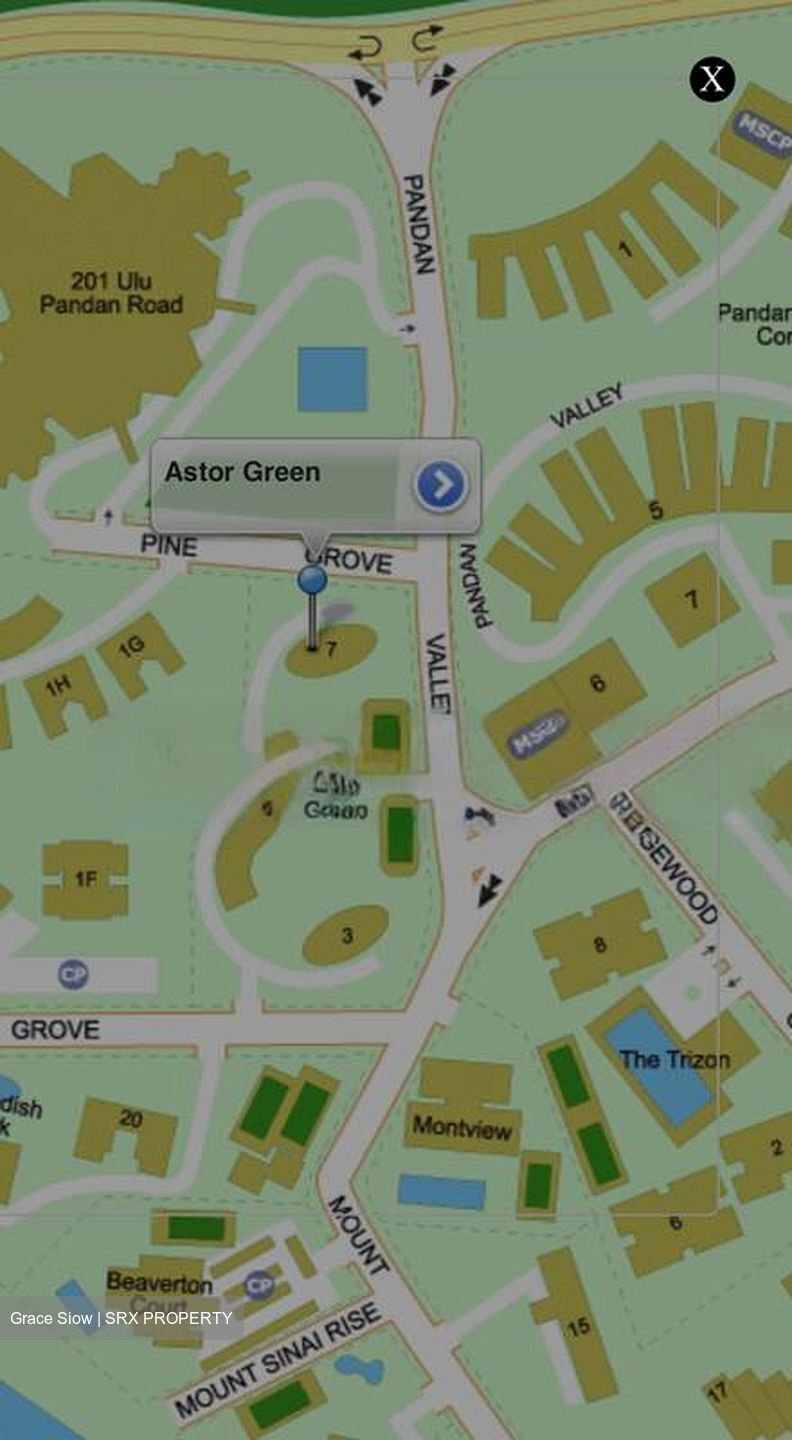 Astor Green (D21), Condominium #469947461